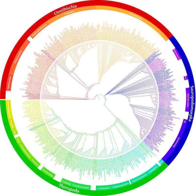New Scientist. Science news and long reads from expert journalists, covering developments in science, technology, health and the environment on the website and the magazine.