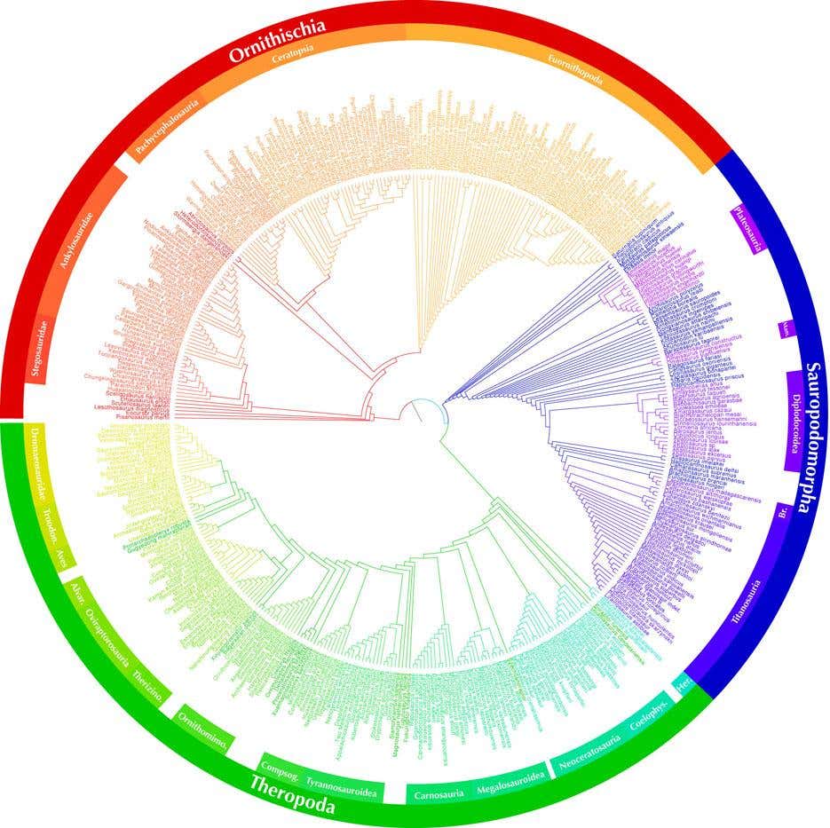 Dinosaur evolutionary tree unveiled