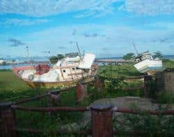 New Scientist. Science news and long reads from expert journalists, covering developments in science, technology, health and the environment on the website and the magazine.