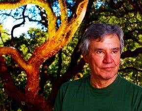 Interview: From rock'n'roll to the sounds of nature