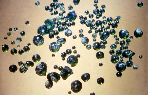 New Scientist. Science news and long reads from expert journalists, covering developments in science, technology, health and the environment on the website and the magazine.