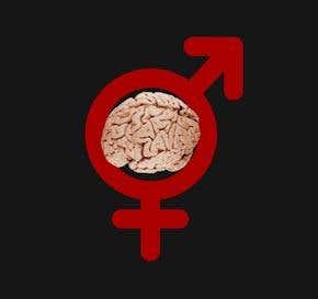 Brains apart: The real difference between the sexes