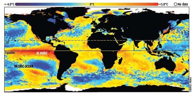 Satellite imagery of sea surface temperatures taken during January 1998 shows the strong El Nino that helped make it one of the hottest years on record.