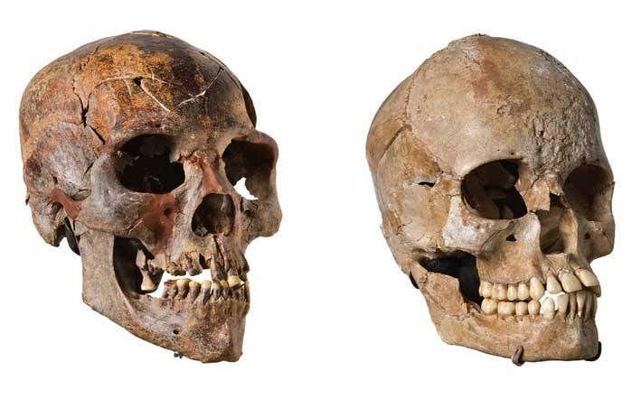 New Scientist. Science news and long reads from expert journalists, covering developments in science, technology, health and the environment on the website and the magazine.