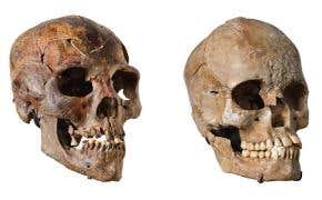 Stone Age mass graves reveal green Sahara