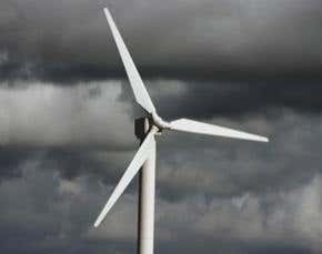 Wind turbines make bat lungs explode