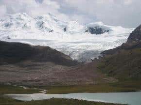 When glaciers disappear, the bugs move in