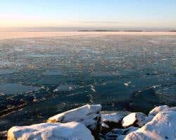 New Scientist. Science news and long reads from expert journalists, covering developments in science, technology, health and the environment on the website and the magazine.