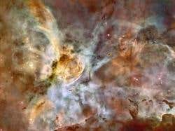 New Scientist. Science news and long reads from expert journalists, covering developments in science, technology, health and the environment on the website and the magazine.