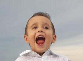 The evolutionary story of the 'language gene'