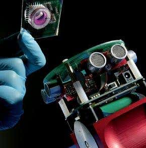 Rise of the rat-brained robots