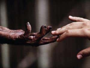 New Scientist. Science news and long reads from expert journalists, covering developments in science, technology, health and the environment on the website and the magazine.