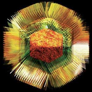 Viruses: The unsung heroes of evolution