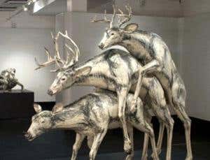 New Scientist. Science news and long reads from expert journalists, covering developments in science, technology, health and the environment on the website and the magazine.