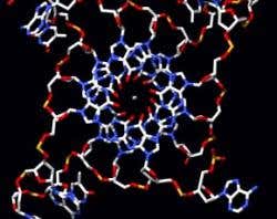 New Scientist. Science news and long reads from expert journalists, covering developments in science, technology, health and the environment on the website and the magazine.
