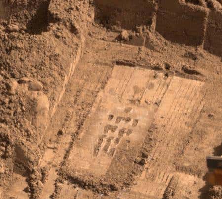 New Scientist. Science news and long reads from expert journalists, covering developments in science, technology, health and the environment on the website and the magazine.