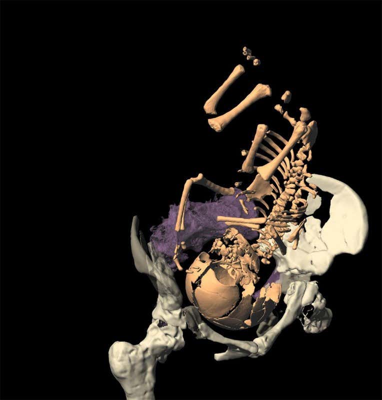 New Scientist. Science news and long reads from expert journalists, covering developments in science, technology, health and the environment on the website and the magazine.