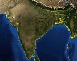New Scientist. Science news and long reads from expert journalists, covering developments in science, technology, health and the environment on the website and the magazine.