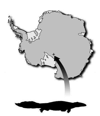 The fossil was found in what is now southern Antarctica 