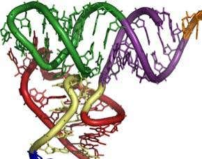 Did evolution come before life?