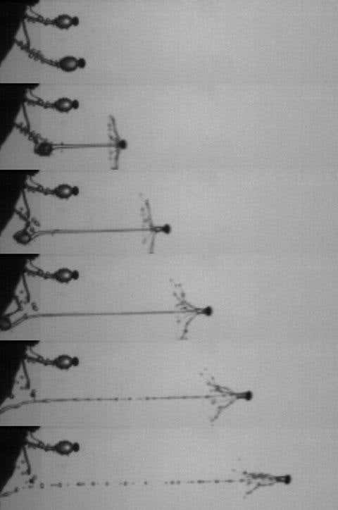 New Scientist. Science news and long reads from expert journalists, covering developments in science, technology, health and the environment on the website and the magazine.