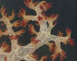 New Scientist. Science news and long reads from expert journalists, covering developments in science, technology, health and the environment on the website and the magazine.