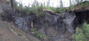 America's oldest ice discovered... then it melts