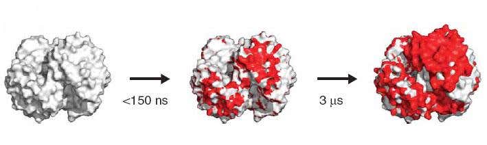 New Scientist. Science news and long reads from expert journalists, covering developments in science, technology, health and the environment on the website and the magazine.