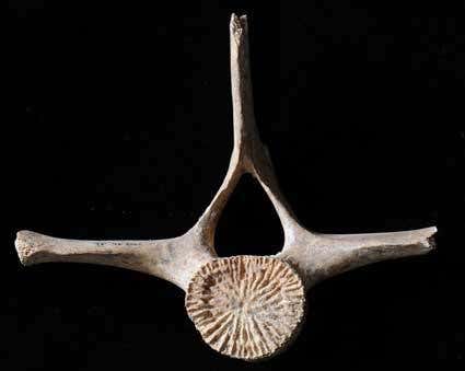 New Scientist. Science news and long reads from expert journalists, covering developments in science, technology, health and the environment on the website and the magazine.