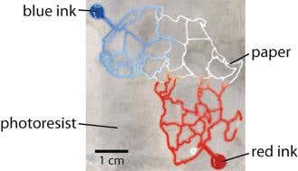New Scientist. Science news and long reads from expert journalists, covering developments in science, technology, health and the environment on the website and the magazine.