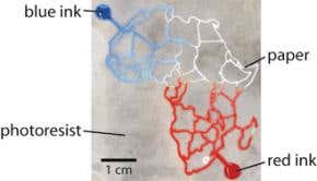 Paper lab-on-a-chip makes disease tests affordable