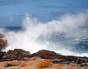 Acidifying oceans are brewing up an underwater din