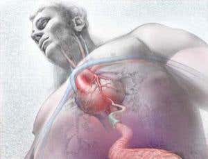 Gallery: Stunning visualizations of science