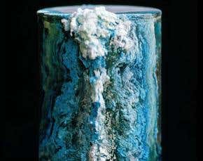 Gallery: Beauty flowers from human remains