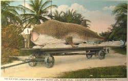 Stretched over a shark-shaped frame and mounted on a railroad car, the shark amazed a generation