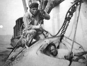 The world's biggest whopper