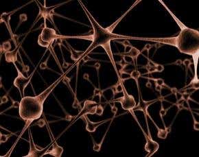 3D models take the guesswork out of brain surgery