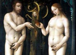 The origins of willpower