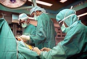 New laws could make everyone an organ donor