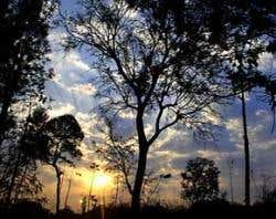 New Scientist. Science news and long reads from expert journalists, covering developments in science, technology, health and the environment on the website and the magazine.