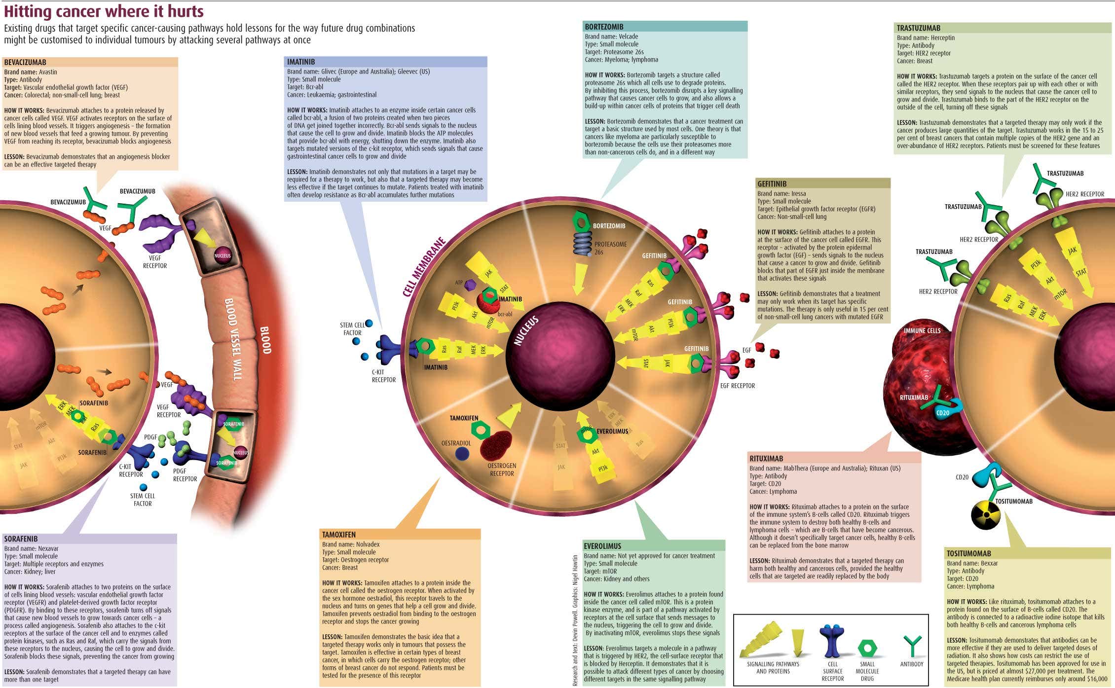 New Scientist. Science news and long reads from expert journalists, covering developments in science, technology, health and the environment on the website and the magazine.