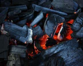 Microwave factory to act as carbon sink