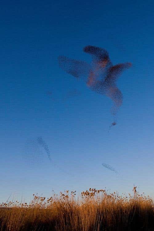 New Scientist. Science news and long reads from expert journalists, covering developments in science, technology, health and the environment on the website and the magazine.