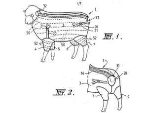 World gets first live webcast of a lion hunt