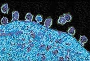 New Scientist. Science news and long reads from expert journalists, covering developments in science, technology, health and the environment on the website and the magazine.