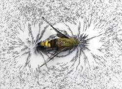 New Scientist. Science news and long reads from expert journalists, covering developments in science, technology, health and the environment on the website and the magazine.