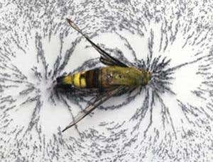 Gallery: Artists explore the state of our planet