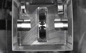 New Scientist. Science news and long reads from expert journalists, covering developments in science, technology, health and the environment on the website and the magazine.