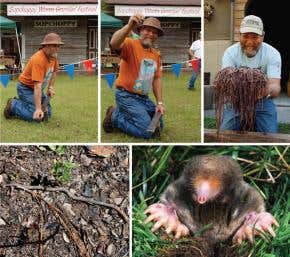 How bad vibes can catch you a worm