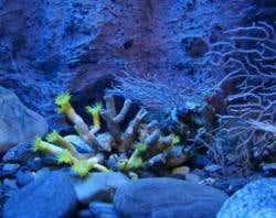 New Scientist. Science news and long reads from expert journalists, covering developments in science, technology, health and the environment on the website and the magazine.